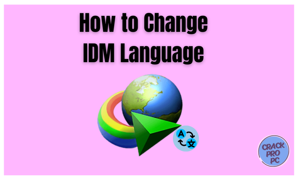 Change IDM Language to English