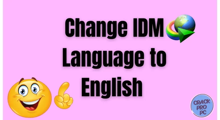 Change IDM Language to English
