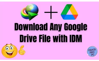 Download Any Google Drive File with IDM