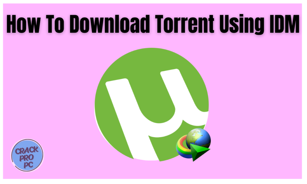 How To Download Torrent Using IDM