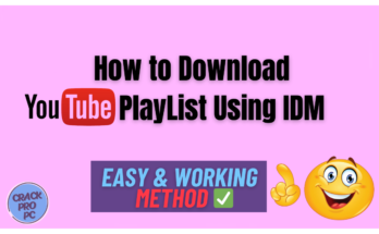 How to Download Youtube playlist using IDM