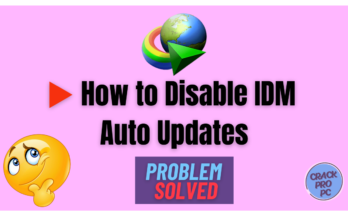 ▶️ How to Disable IDM Auto Updates